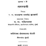 सरस्वती : बाळकृष्ण रामचंद्र कुळकर्णी द्वारा मराठी पीडीएफ पुस्तक | Saraswati : By Balkrishna Ramachandra Kulkarni Marathi PDF Book