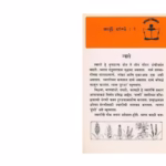 KAHI DHANYA - MARATHI - I By Suhasini Nandgaonkar Marathi PDF Book
