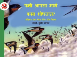 Pakshi aapla Marg Kasaa Shodhtaat By Susheel Mension Marathi PDF Book