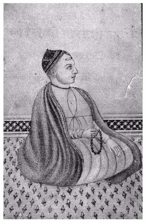 Brahmedrasvaamii Dhaavadashiikar : By Balvant Parasnees Marathi PDF Book
