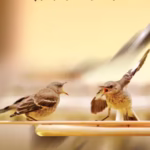 Sangharsh Tala [ 2nd Ed. ] : By Dada Bhagwan Foundation Marathi PDF Book