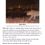 LEOPARDS IN THE CITY : By PARIKSHIT SURYAVANSHI Marathi PDF Book