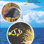 SANDARBH - ISSUE 90 : By Neelima Sahasrabuddhe Marathi PDF Book