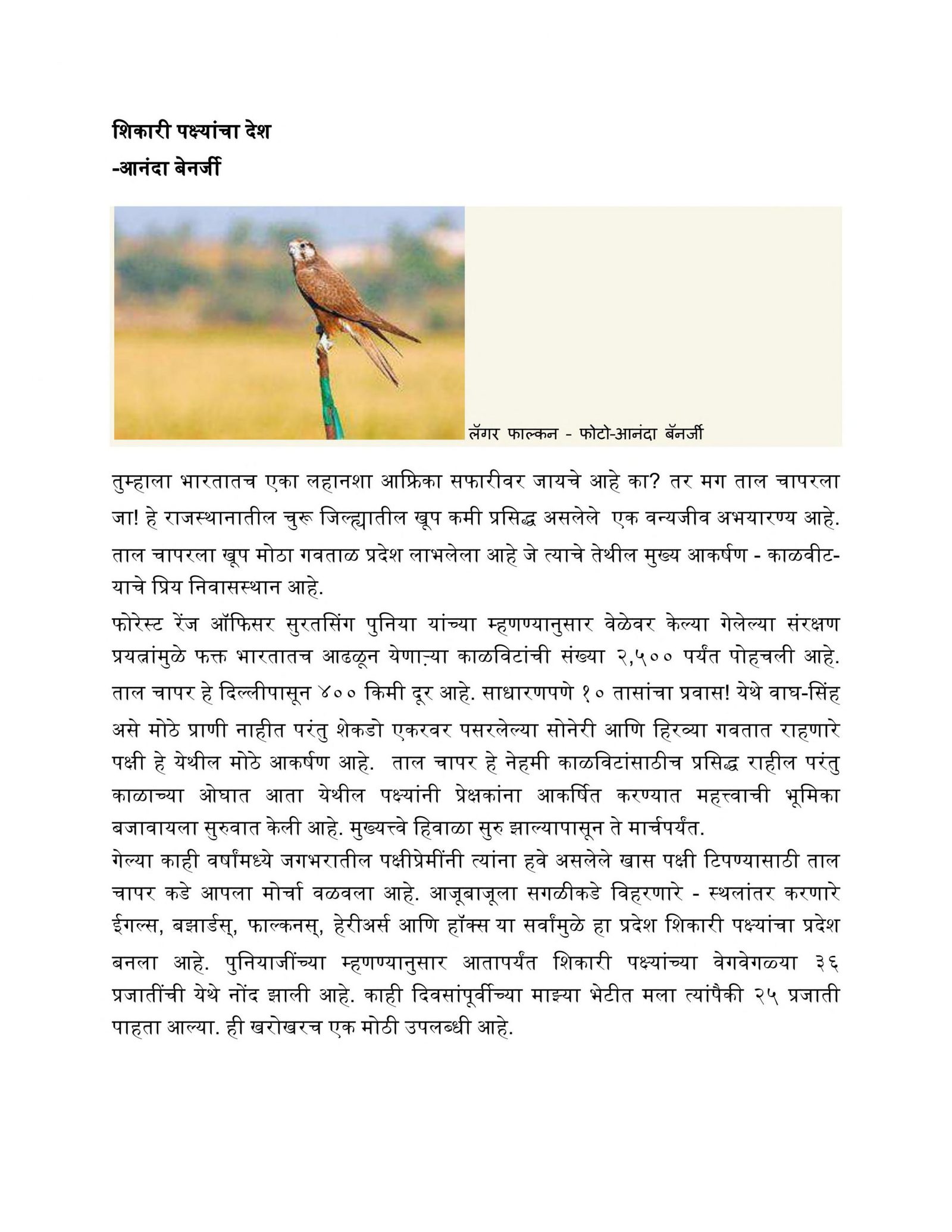 Sikari Pakṣyancha Des Ananda Benerjee Marathi PDF Book